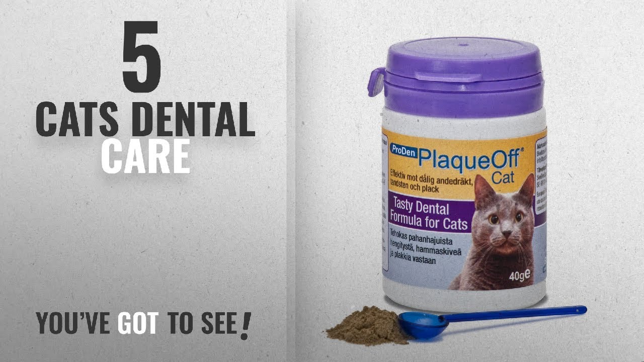 Top 10 Cats Dental Care [2018] ProDen PlaqueOff Supplement for Cats