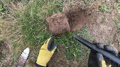 LIVE DIG ACTION!! Simplex SP24 coil spanking coins in hard core trashy site.