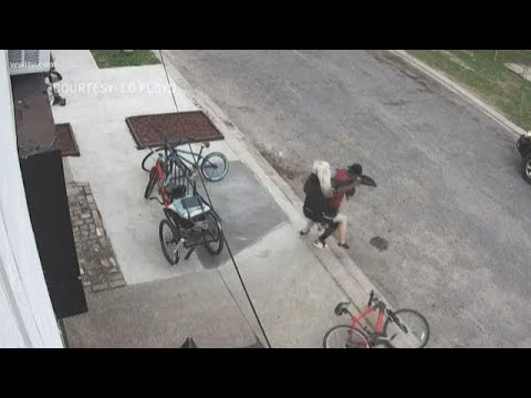 Thief