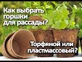 Как выбрать горшки для рассады? Торфяной или пластмассовый?