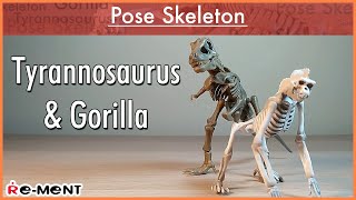 Pose Skeleton - Gorilla and Tyrannosaurus Review