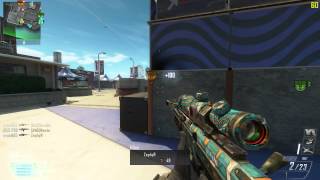 [LF] COD: Black Ops 2: DSR Split feed GRIND