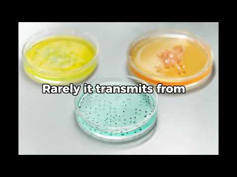 Deadly E. coli