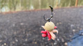 How to tie a Medusa rig. The best winter rig. Fishing with maggots. Winter carp rigs