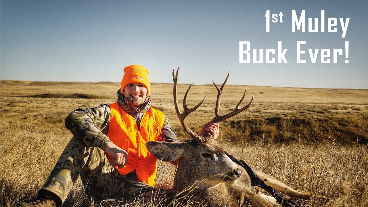 MONTANA PUBLIC LAND Spot and Stalk Mule Deer Success First Mule Deer Buck Ever! YouTube