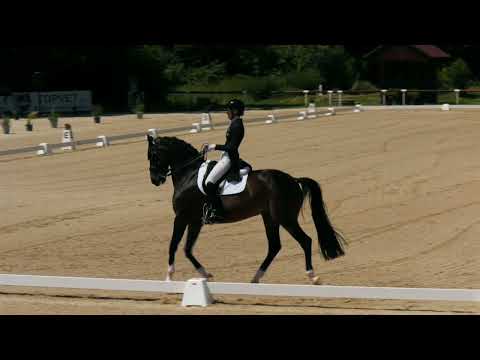 Grand Prix freestyle to music (CDI-W) – CDI Brno (CZE), 22. 6. 2025