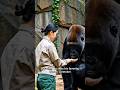 Proof that love knows no species 🌍#shorts #gorilla #naturelovers #wildlife #usa  #shortsvideo