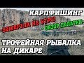 #КАРПФИШИНГ * ТРОФЕЙНАЯ РЫБАЛКА 2019