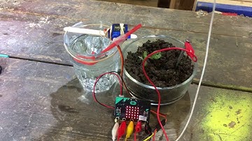 micro:bit plant watering