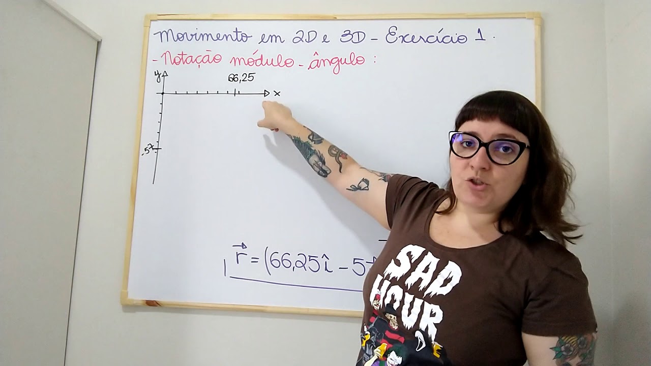 Movimento em duas e três dimensões - exercício 1