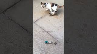 When The Hunter Gets Pinched