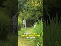 Stolpboerderij te koop! Zuiderweg 79 Zuidoostbeemster | Tromp Garantiemakelaars