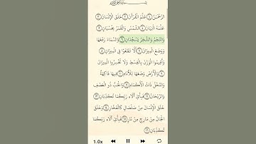 سورة الرحمان #اكسبلور #القران #لايك #تيك_توك #راحة_نفسية #ترند #حالات_واتس #duet #قرآن #دويتو