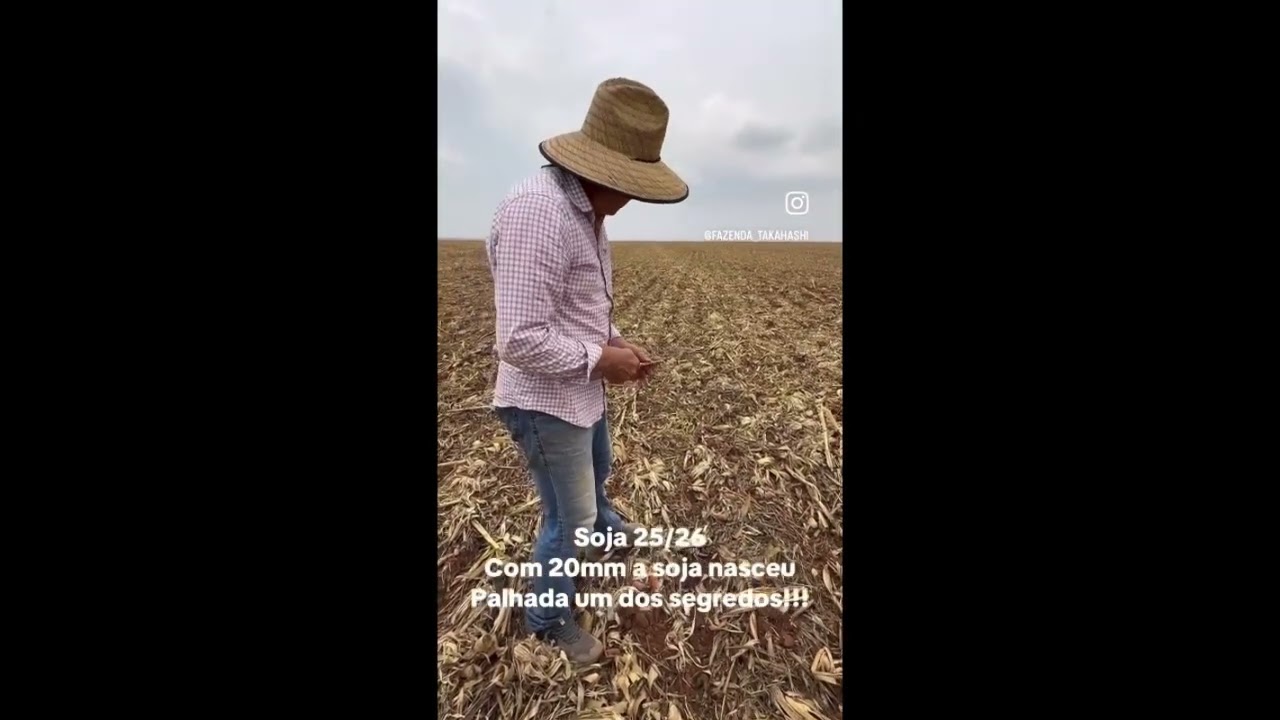 SAFRA 2025/2026 - PLANTIO DE SOJA - PALHADO DO MILHO 🌽- MATOPIBA 