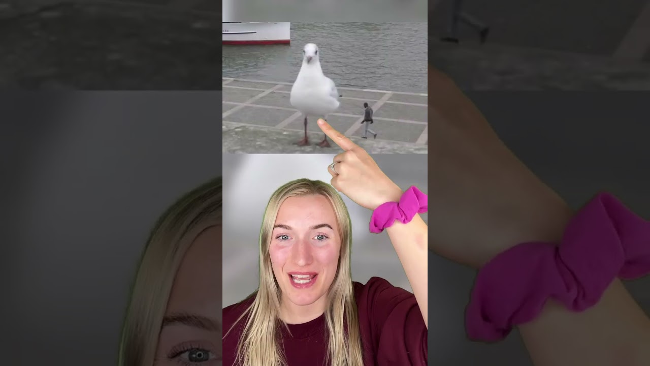 ЭТИ ФОТОГРАФИИ ЗАСТАВЯТ ВАС ПОСМОТРЕТЬ ДВАЖДЫ!😅