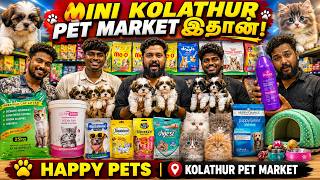 😱 Hidden Pet Shop in Kolathur! 🐶 Pet Food, Shih Tzu Puppies & Persian Kittens | Happy Pets #kolathur