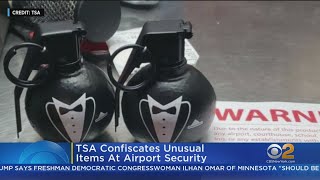 TSA Finds Unusual Items At LaGuardia, Newark Airports