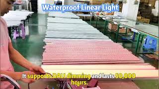 Famous "Looking for durable lights? Net Worth