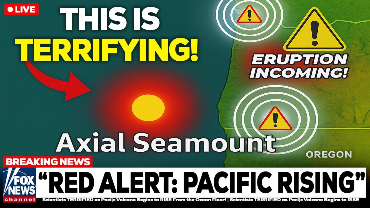 Scientists TERRIFIED as Pacific Volcano Begins to RISE From the Ocean Floor!