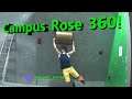 Home Climbing Wall Routesetting- How To Set a Campus Rose 360