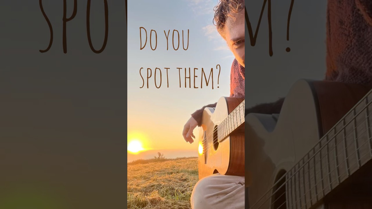 Bird alarm #guitar #music #classicalguitar #guitarist #acousticguitar #guitarsolo #fingerstyle