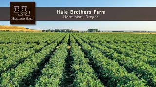 Hale Brothers Farm - Hermiston, Oregon - Overview