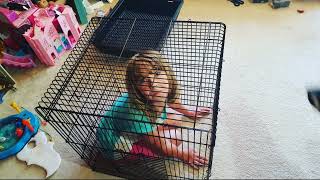 Prevue Pet Products Square Roof Parrot Cage, Black