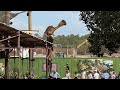 (4/10/2025) Dinoland USA Disney’s Animal Kingdom Construction Update