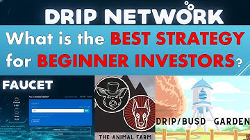 Drip Network Review for Beginners - What is the BEST STRATEGY for BEGINNER INVESTORS?
