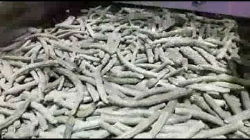 Dryce: sorting machine used for frozen green beans | RAYTEC VISION SpA