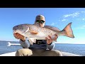 Flats Fishing For SCHOOLING Redfish In The LOWCOUNTRY