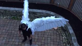 Articulated Pneumatic Wings