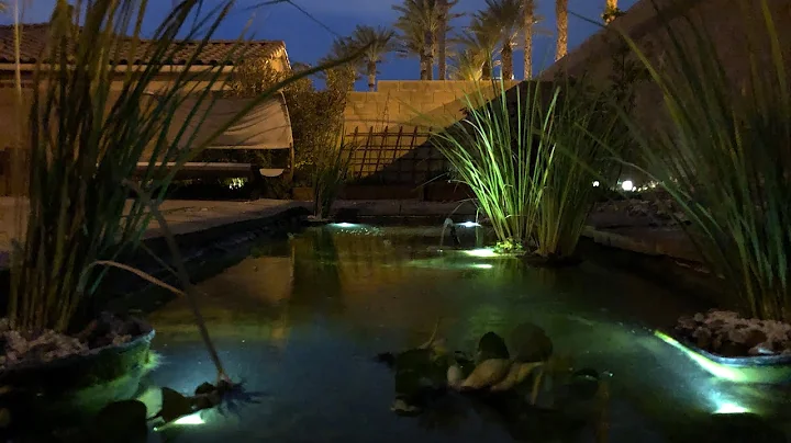 One Minute Koi Pond Build #koi #koipond #diy