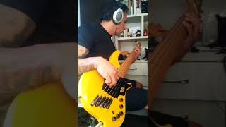 Dingwall #deffleppard