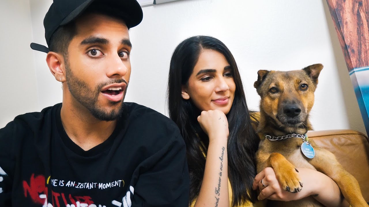 We Adopted A Puppy Youtube