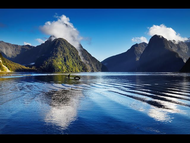 New Zealand