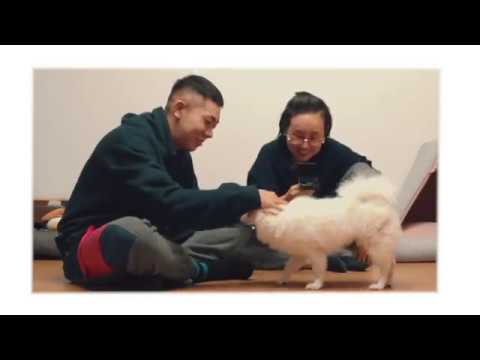 [AOMG PetTube] EP 01 : 로꼬 (Loco) x 라떼 (Latte)