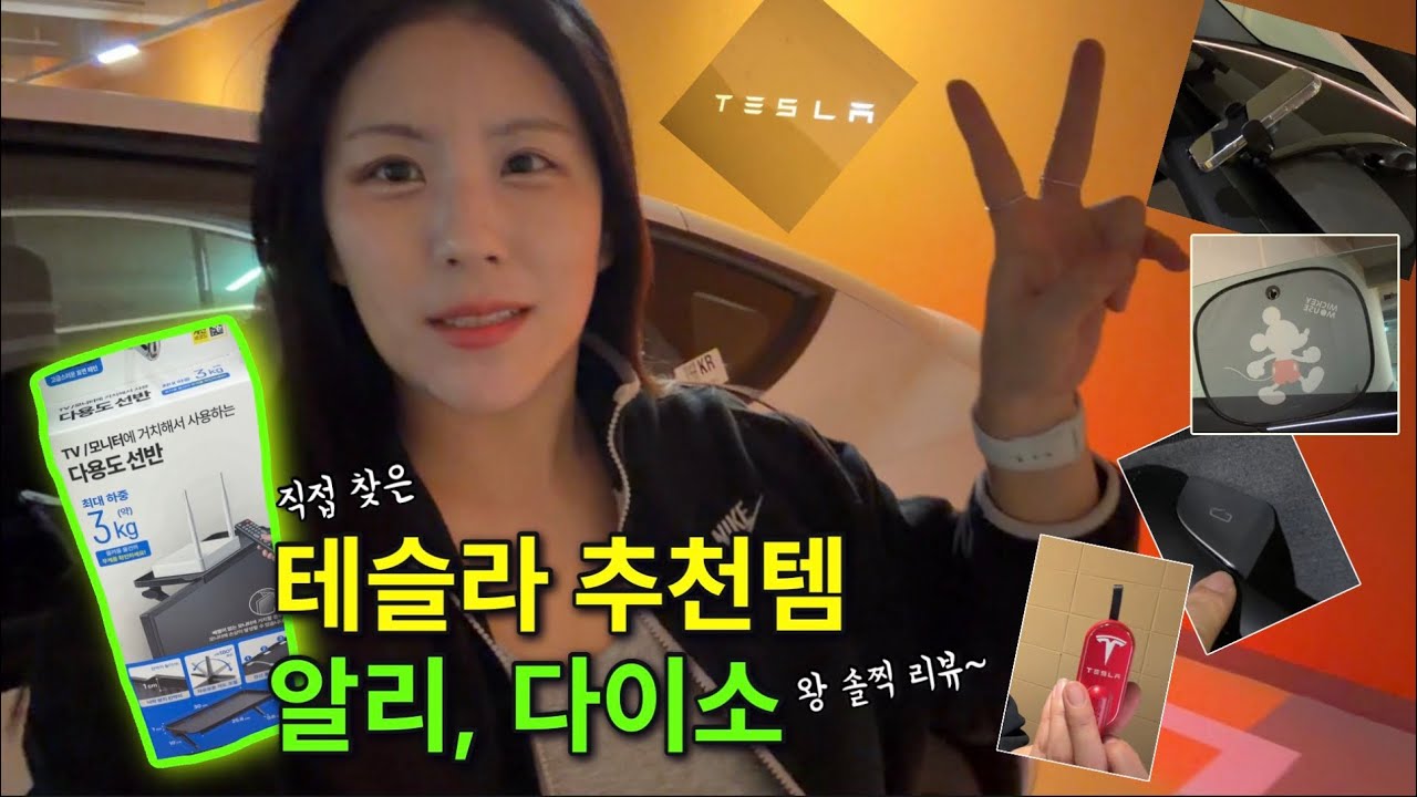 [테슬라] 알리, 다이소에서 직접 찾은 아이템 소개 [2탄] “너무 좋은데?”