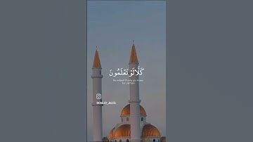 (ألهاكم التكاثر حتى زرتم المقابر) القارئ خليل الجليل #تلاوة_خاشعة #القرآن_الكريم #اكسبلور #coran