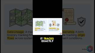 Lineage vs Provenance: Why Your Data Needs an Expert