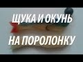 ЩУКА И ОКУНЬ НА СПИННИНГ. РЫБАЛКА НА ПОРОЛОНКУ В ПОДМОСКОВЬЕ В НОЯБРЕ НА МОЖАЙСКОМ ВОДОХРАНИЛИЩЕ