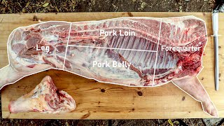 How To Breakdown A Side Of Pork | The Tattooed Butcher