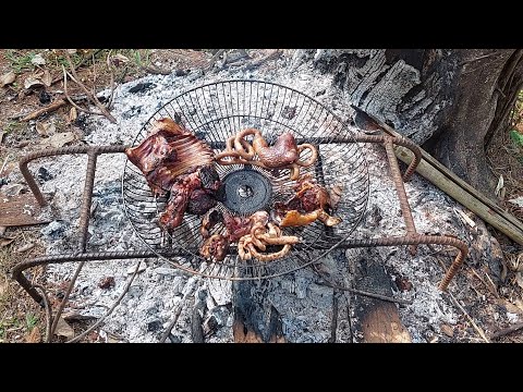 Video thưởng thức món thỏ nướng muối ớt, thỏ nấu giả cầy, cá... - youtube
