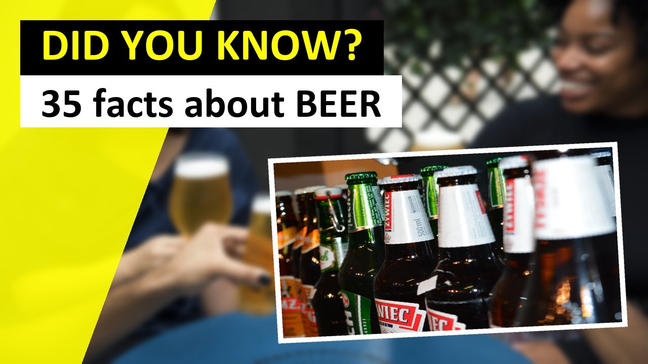 35 Amazing Beer Facts You Need to Know