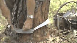 Turpentine Videos: Tacking Tin