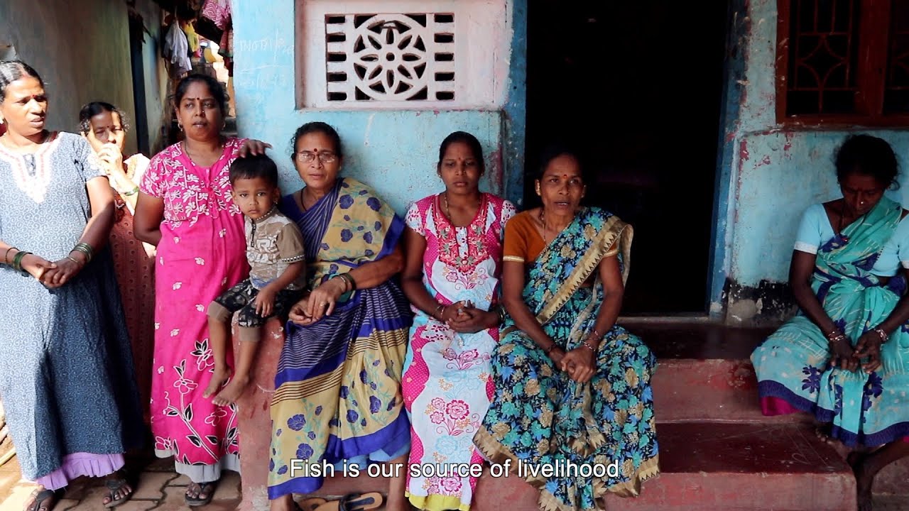 Why the Fisherfolks of Karwar are protesting against the port expansion