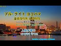 ブル  ライト ヨコハマ (블루라이트 요코하마)  - 노래 上原多香子 (우에하라 타카코)