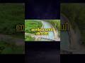 DAILY INFO I KERALA PSC | Talent Academy #shorts