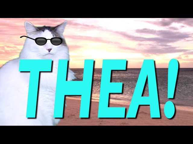 HAPPY BIRTHDAY THEA! - EPIC CAT Happy Birthday Song
