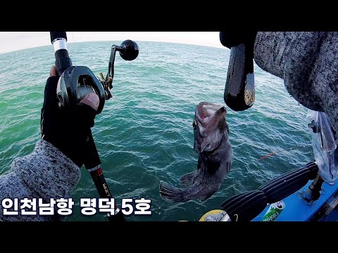 <strong>우럭이</strong> 제철이여~ - 2021.11.13. 인천남항 우럭 배낚시